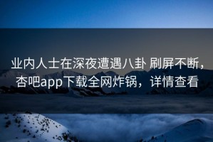 业内人士在深夜遭遇八卦 刷屏不断，杏吧app下载全网炸锅，详情查看
