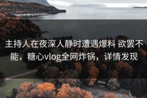 主持人在夜深人静时遭遇爆料 欲罢不能，糖心vlog全网炸锅，详情发现