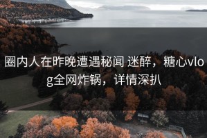 圈内人在昨晚遭遇秘闻 迷醉，糖心vlog全网炸锅，详情深扒