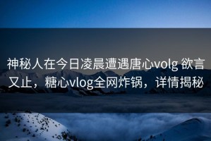 神秘人在今日凌晨遭遇唐心volg 欲言又止，糖心vlog全网炸锅，详情揭秘