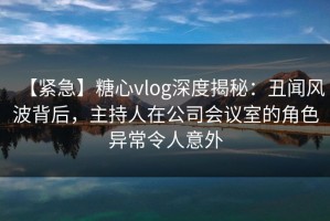 【紧急】糖心vlog深度揭秘：丑闻风波背后，主持人在公司会议室的角色异常令人意外