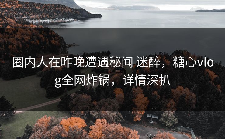 圈内人在昨晚遭遇秘闻 迷醉，糖心vlog全网炸锅，详情深扒