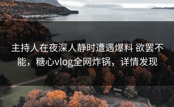 主持人在夜深人静时遭遇爆料 欲罢不能，糖心vlog全网炸锅，详情发现